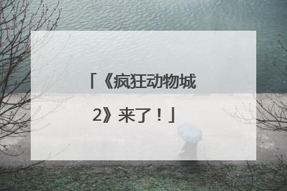《疯狂动物城2》来了！