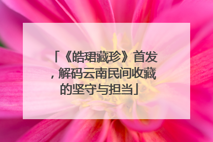 《皓珺藏珍》首发，解码云南民间收藏的坚守与担当