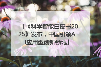《科学智能白皮书2025》发布，中国引领AI应用型创新领域
