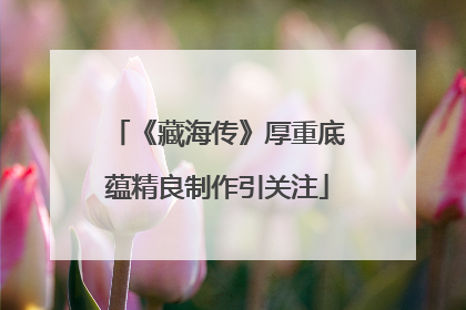 《藏海传》厚重底蕴精良制作引关注