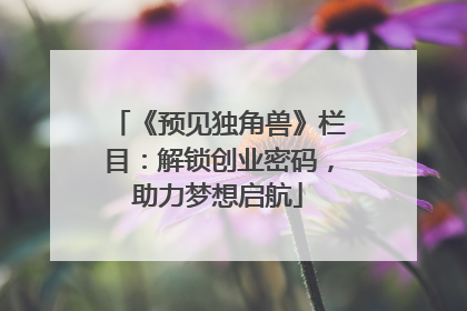 《预见独角兽》栏目：解锁创业密码，助力梦想启航