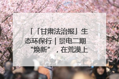 「甘肃法治报」生态环保行｜景电二期“焕新”，在荒漠上筑起一道绿色长城