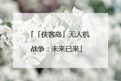 「侠客岛」无人机战争：未来已来