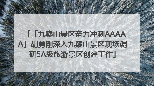 「九嶷山景区奋力冲刺AAAAA」胡勇刚深入九嶷山景区现场调研5A级旅游景区创建工作