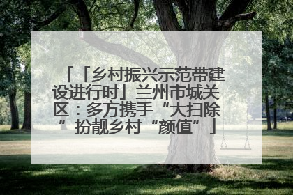 「乡村振兴示范带建设进行时」兰州市城关区：多方携手“大扫除”扮靓乡村“颜值”