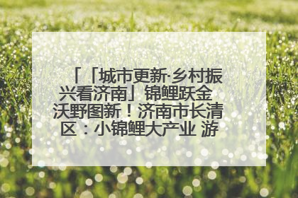 「城市更新·乡村振兴看济南」锦鲤跃金 沃野图新！济南市长清区：小锦鲤大产业 游出农旅新风景