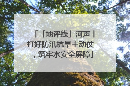 「地评线」河声丨打好防汛抗旱主动仗，筑牢水安全屏障