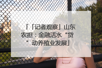 「记者观察」山东农担：金融活水“贷”动养殖业发展