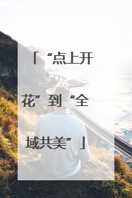 “点上开花”到“全域共美”