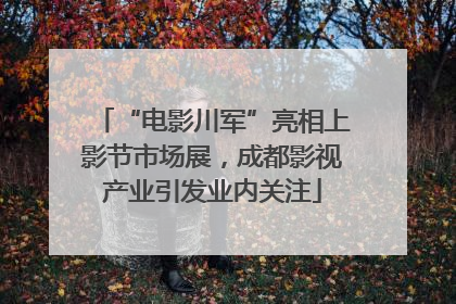 “电影川军”亮相上影节市场展，成都影视产业引发业内关注