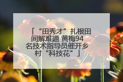 “田秀才”扎根田间解难题 黄梅94名技术指导员催开乡村“科技花”