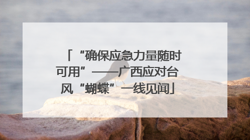 “确保应急力量随时可用”——广西应对台风“蝴蝶”一线见闻
