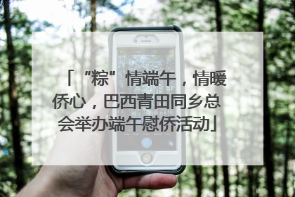 “粽”情端午，情暖侨心，巴西青田同乡总会举办端午慰侨活动