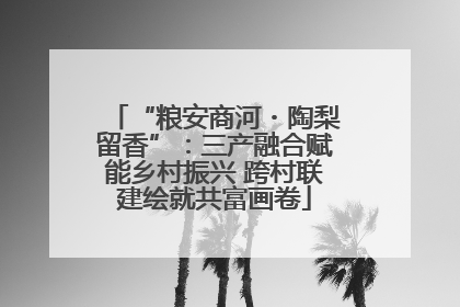 “粮安商河・陶梨留香”：三产融合赋能乡村振兴 跨村联建绘就共富画卷