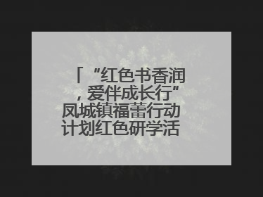“红色书香润，爱伴成长行”凤城镇福蕾行动计划红色研学活动圆满结束