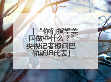 “你们指望美国做些什么？”央视记者提问巴勒斯坦代表