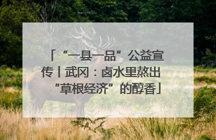 “一县一品”公益宣传丨武冈：卤水里熬出“草根经济”的醇香