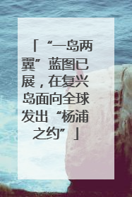 “一岛两翼”蓝图已展，在复兴岛面向全球发出“杨浦之约”