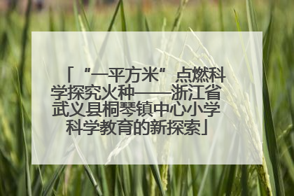 “一平方米”点燃科学探究火种——浙江省武义县桐琴镇中心小学科学教育的新探索