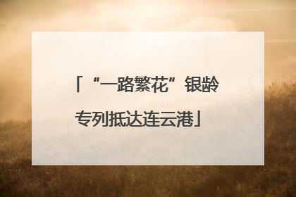“一路繁花”银龄专列抵达连云港