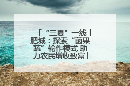 “三夏”一线丨肥城：探索“菌果蔬”轮作模式 助力农民增收致富
