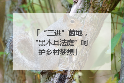 “三进”菌地，“黑木耳法庭”呵护乡村梦想