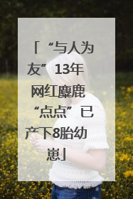 “与人为友”13年 网红麋鹿“点点”已产下8胎幼崽