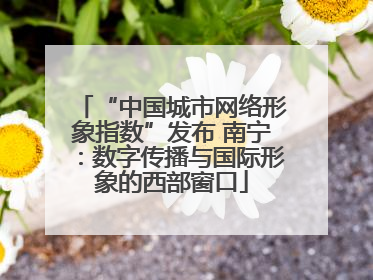 “中国城市网络形象指数”发布 南宁：数字传播与国际形象的西部窗口