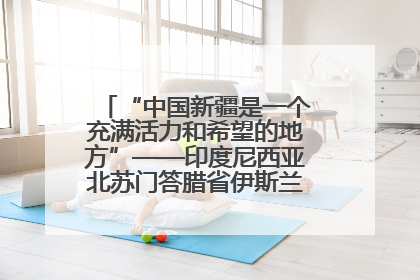 “中国新疆是一个充满活力和希望的地方”——印度尼西亚北苏门答腊省伊斯兰教代表团参访新疆