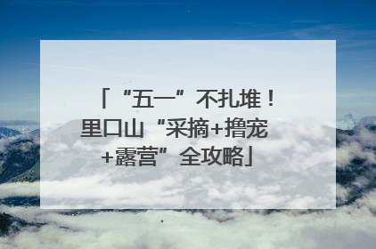 “五一”不扎堆！里口山“采摘+撸宠+露营”全攻略