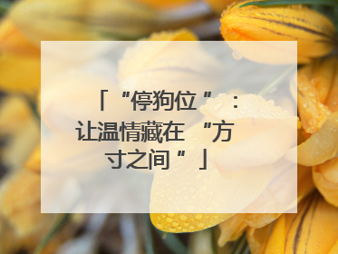 “停狗位 ”：让温情藏在 “方寸之间 ”