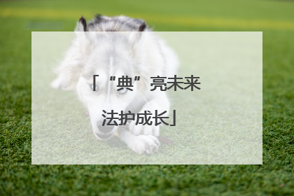 “典”亮未来 法护成长