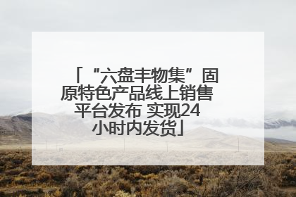 “六盘丰物集”固原特色产品线上销售平台发布 实现24小时内发货