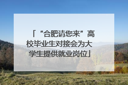 “合肥请您来”高校毕业生对接会为大学生提供就业岗位