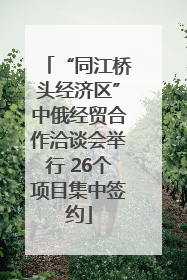 “同江桥头经济区”中俄经贸合作洽谈会举行 26个项目集中签约