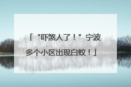 “吓煞人了！”宁波多个小区出现白蚁！