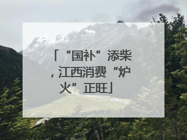“国补”添柴，江西消费“炉火”正旺