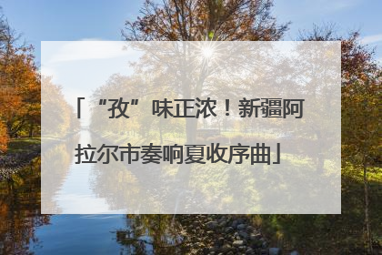 “孜”味正浓！新疆阿拉尔市奏响夏收序曲