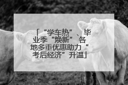 “学车热”、毕业季“焕新” 各地多重优惠助力“考后经济”升温