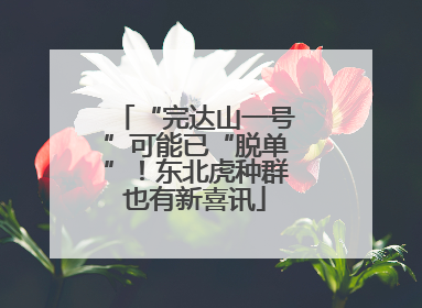 “完达山一号”可能已“脱单”！东北虎种群也有新喜讯