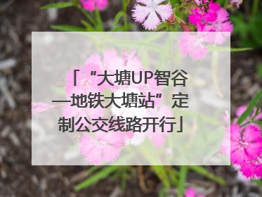 “大塘UP智谷—地铁大塘站”定制公交线路开行