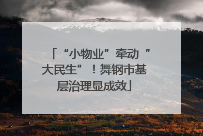 “小物业”牵动“大民生”！舞钢市基层治理显成效
