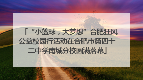 “小篮球，大梦想”合肥狂风公益校园行活动在合肥市第四十二中学南城分校圆满落幕