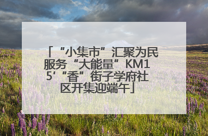 “小集市”汇聚为民服务“大能量”KM15′“香”街子学府社区开集迎端午