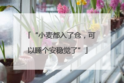 “小麦都入了仓，可以睡个安稳觉了”
