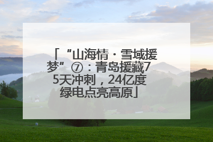 “山海情・雪域援梦”⑦：青岛援藏75天冲刺，24亿度绿电点亮高原