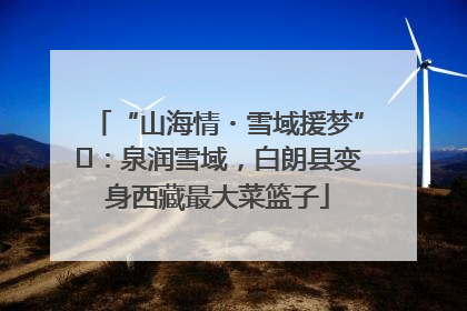 “山海情・雪域援梦”⑪：泉润雪域，白朗县变身西藏最大菜篮子