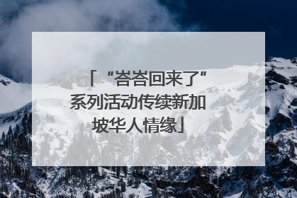 “峇峇回来了”系列活动传续新加坡华人情缘