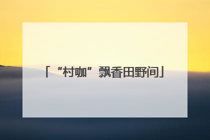 “村咖”飘香田野间
