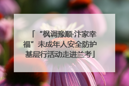 “枫调豫顺·汴家幸福”未成年人安全防护基层行活动走进兰考